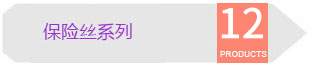 保險絲系列